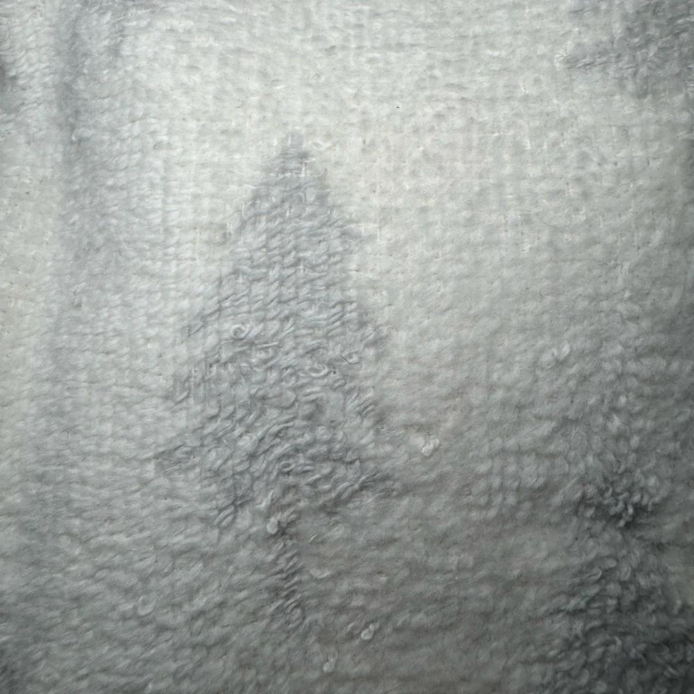 Target Wondershop 2 pk Scattered Trees Hand Towels
Gray/White - Picture 5 of 7